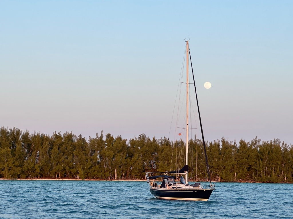 Northern Abacos – Racing, Reunions & a Toothy Visitor